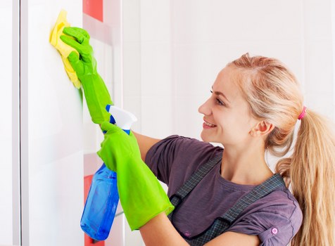 Deep cleaning service in Collierswood for a spotless home interior