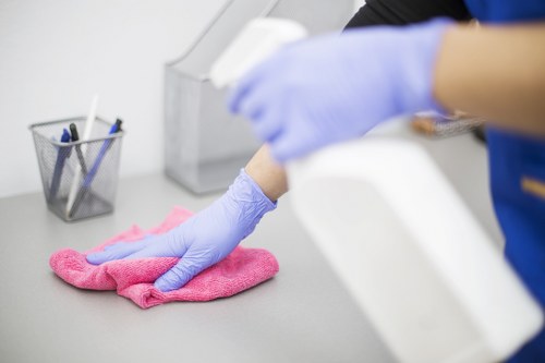 Sofa cleaning in Collierswood living room upholstery care