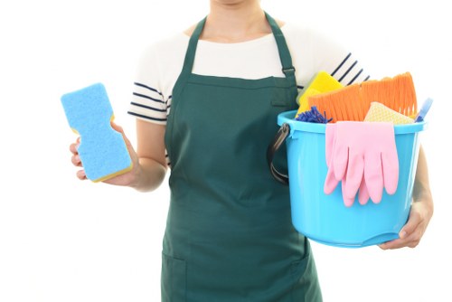 Professional carpet cleaning in Collierswood living room