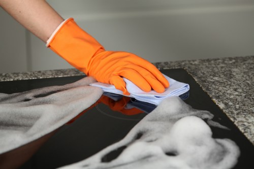 Professional house cleaning in Collierswood living room and floor care