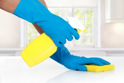 Cleaning supplies and tidy home interior for Collierswood household cleaning