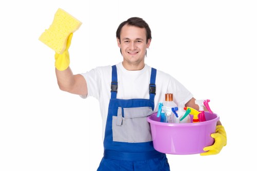 Collierswood Cleaner accessibility statement introduction