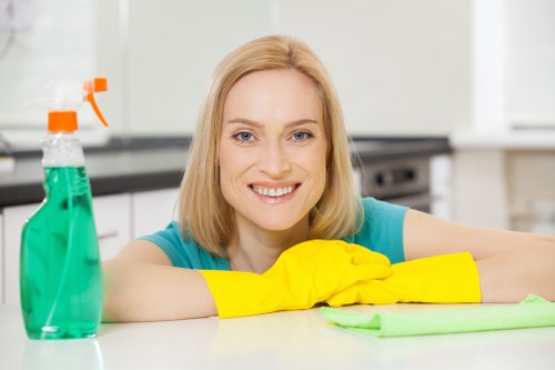 Collierswood cleaner providing professional home cleaning