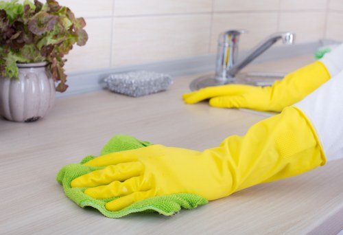 Experienced cleaners in Collierswood handling detailed interior cleaning