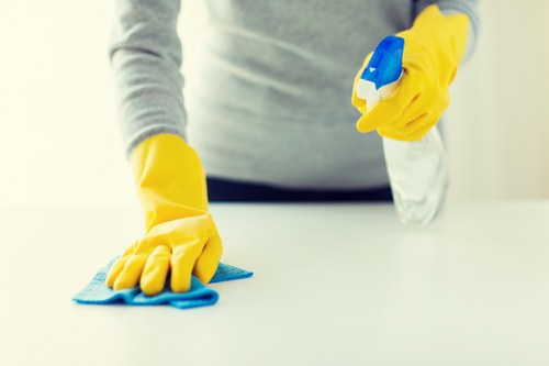 Flexible domestic cleaning services in Collierswood for busy households