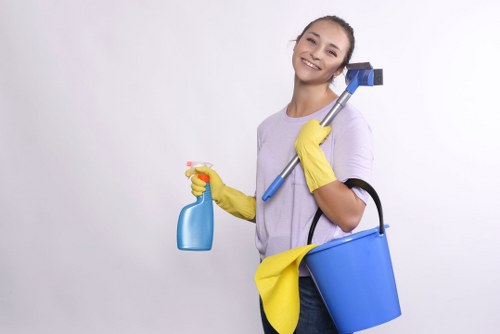Reliable Collierswood cleaning service creating a healthier environment