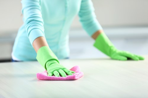 Commercial and specialist cleaning services section