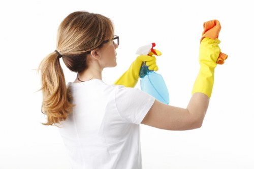 Cleaner using equipment for window cleaning in Collierswood
