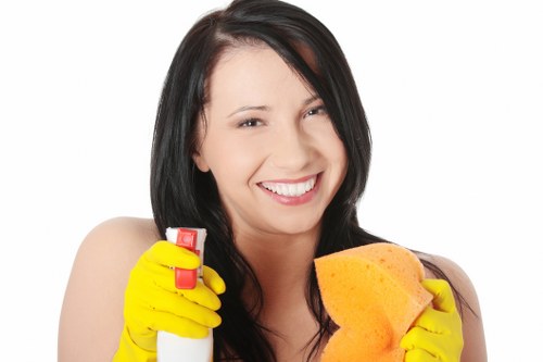 Legal terms and governing law for cleaning services