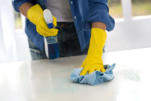 Cleaner in Collierswood providing regular household maintenance