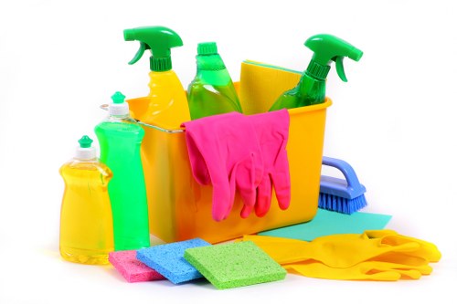 Professional deep cleaning of a Collierswood kitchen and living space
